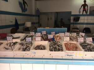 localfishexperts (19)