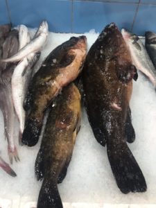 localfishexperts (2)