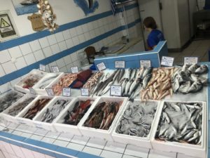 localfishexperts (81)